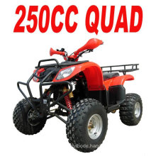 EEC 250CC QUAD ATV(MC-352)